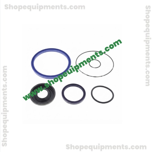 Hydraulic Seal Kit Hyster Forklift (H14, H16, H10, H12)
