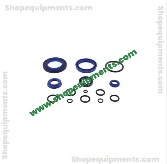 Hydraulic Unit Seal Kit Jungheinrich PPT (AM 22)